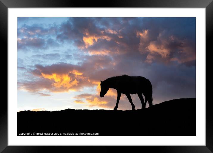 Dartmoor Pony Sunset Framed Mounted Print by Brett Gasser