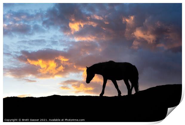 Dartmoor Pony Sunset Print by Brett Gasser