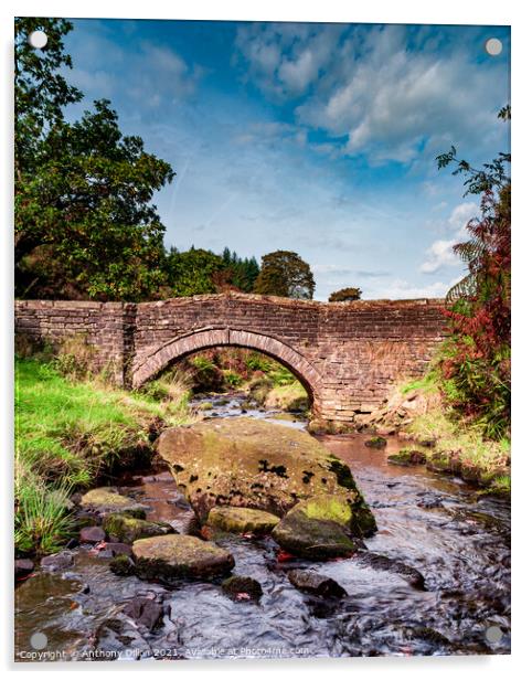 The Packhorse Bridge Acrylic by Anthony Dillon