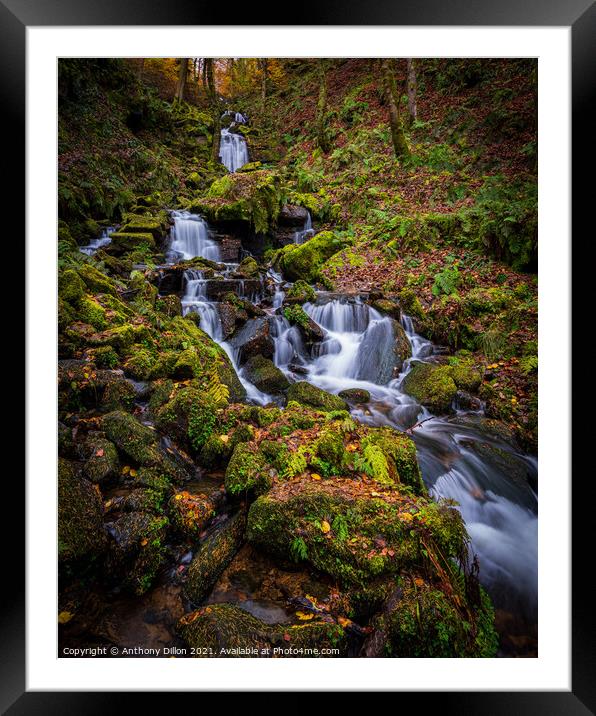 Waterfall In Autumn Framed Mounted Print by Anthony Dillon