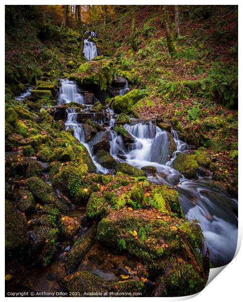 Waterfall In Autumn Print by Anthony Dillon