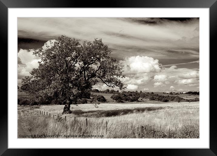 Shadows Shared Framed Mounted Print by Tom Maslen