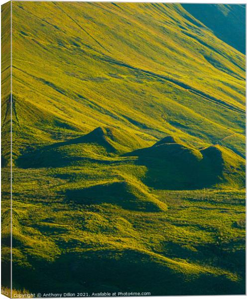 Abstract Hillside Canvas Print by Anthony Dillon