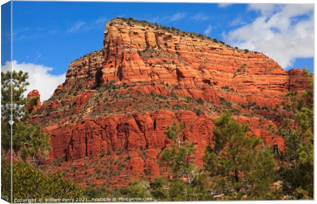 Red Rock Canyon Little Horse Park Sedona Arizona Canvas Print by William Perry
