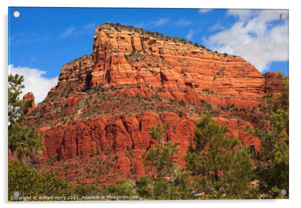 Red Rock Canyon Little Horse Park Sedona Arizona Acrylic by William Perry