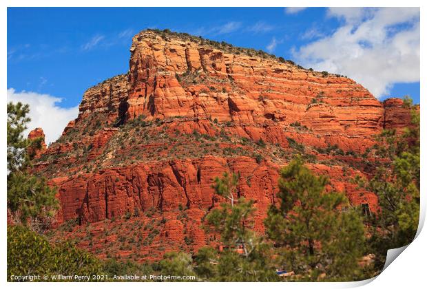 Red Rock Canyon Little Horse Park Sedona Arizona Print by William Perry
