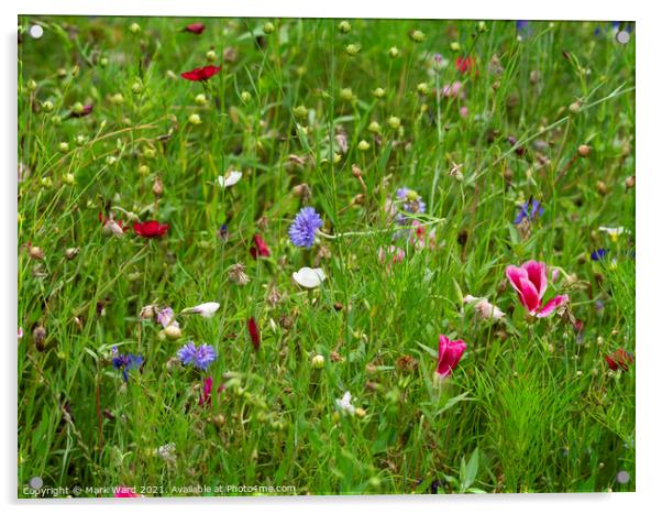 Wildflower Jungle. Acrylic by Mark Ward