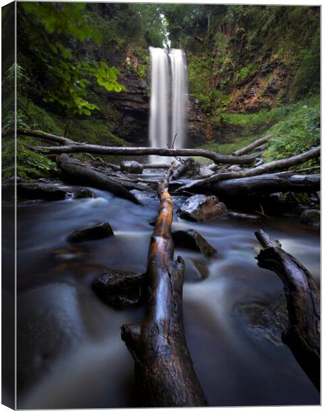 Fallen trees at Henrhyd waterfall Canvas Print by Leighton Collins