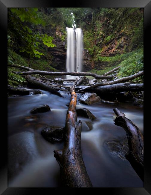 Fallen trees at Henrhyd waterfall Framed Print by Leighton Collins