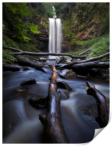 Fallen trees at Henrhyd waterfall Print by Leighton Collins