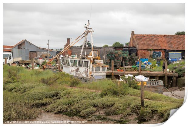 Branchester Staithe Print by Holly Burgess