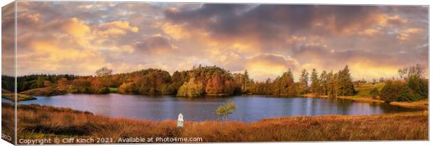 Moss Eccles Panorama Canvas Print by Cliff Kinch