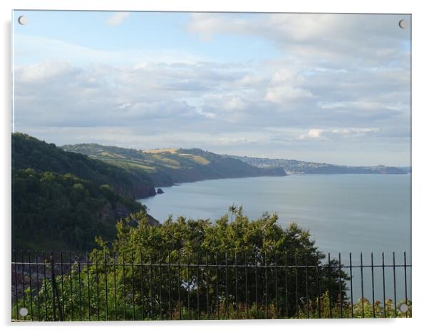 Coastal View from Babbacombe Downs Acrylic by John Bridge