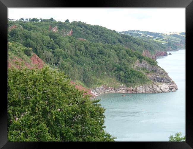 Coastal View from Babbacombe Downs  Framed Print by John Bridge