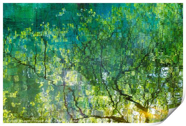 Reflection of tree branches in water Print by Laurent Renault