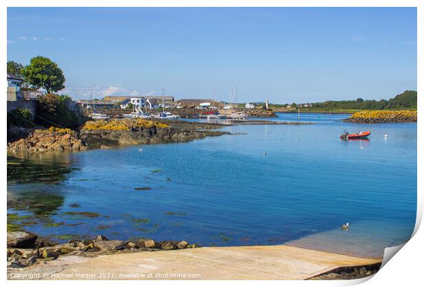 The small marina at Ardglass County Down in Northern Ireland Print by Michael Harper