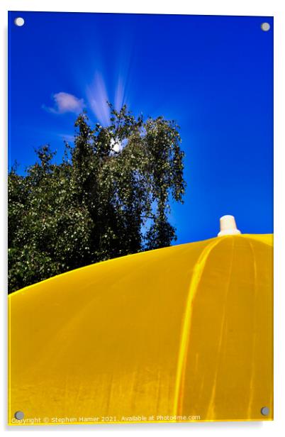 Yellow Brolly Acrylic by Stephen Hamer