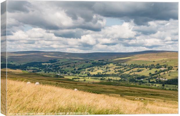 Newbiggin Teesdale from the Pennine Way Canvas Print by Richard Laidler