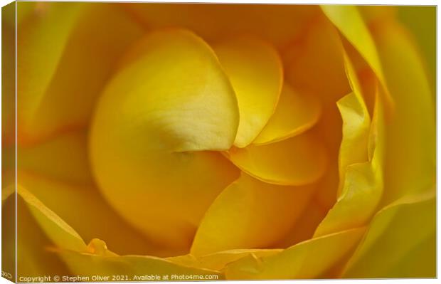 Yellow Spiral  Canvas Print by Stephen Oliver
