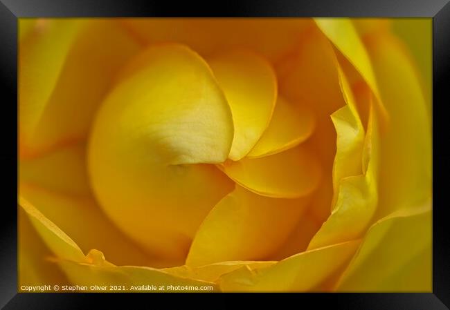Yellow Spiral  Framed Print by Stephen Oliver
