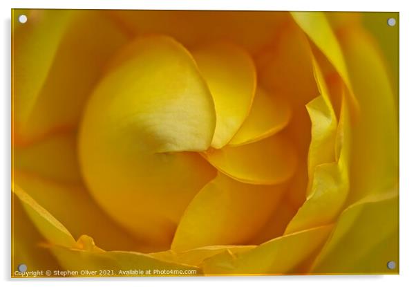 Yellow Spiral  Acrylic by Stephen Oliver