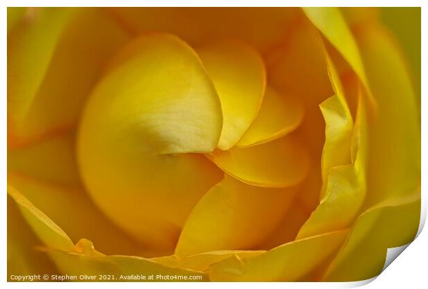 Yellow Spiral  Print by Stephen Oliver