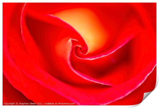 Abstract Red rose Print by Stephen Oliver