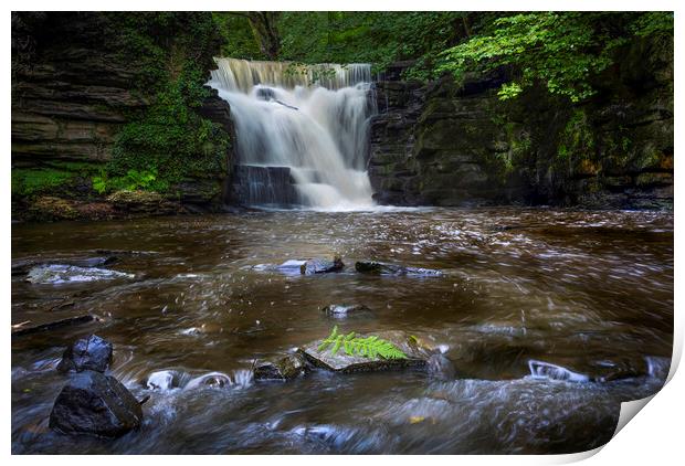 Waterfall at Neath Abbey Print by Leighton Collins