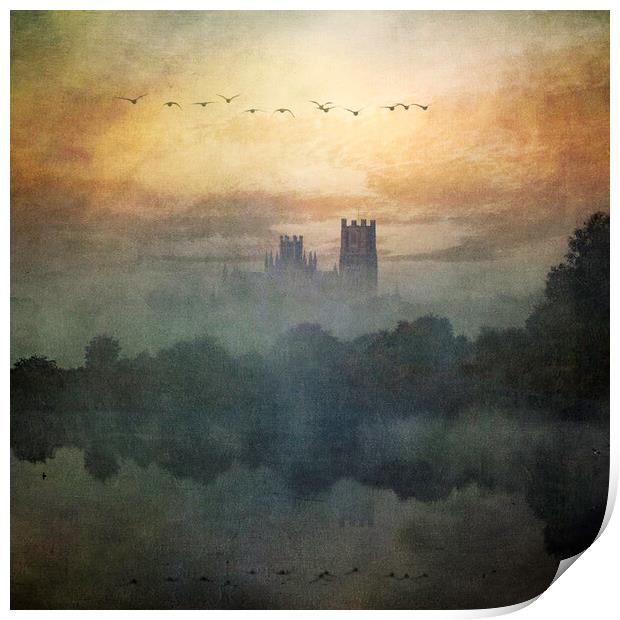 Ely Cathedral, from Roswell Lakes Print by Andrew Sharpe