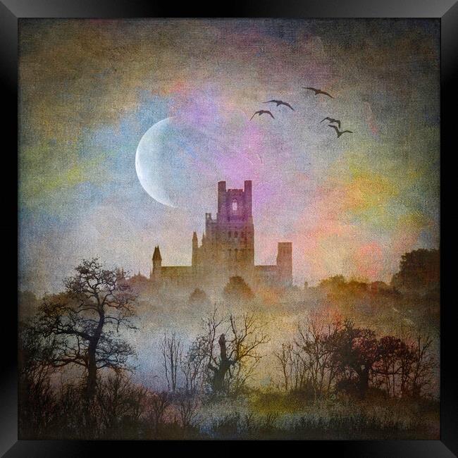 Ely Cathedral Framed Print by Andrew Sharpe
