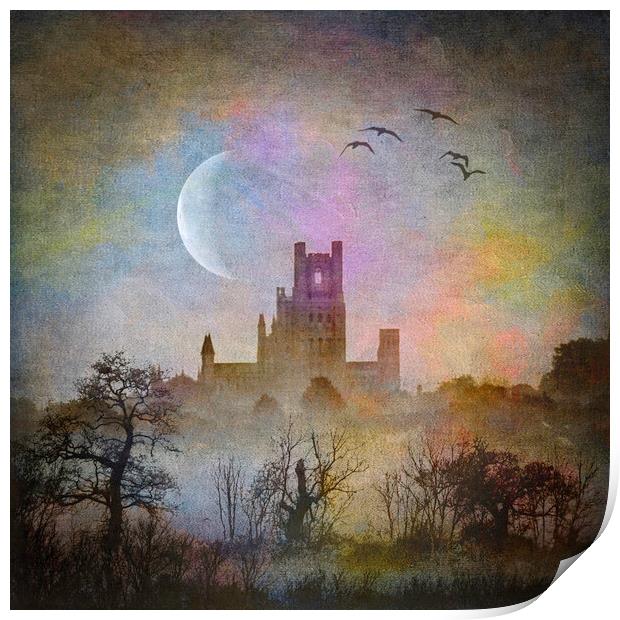 Ely Cathedral Print by Andrew Sharpe