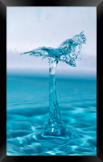 Water Drop Collision Flying High Framed Print by Antonio Ribeiro