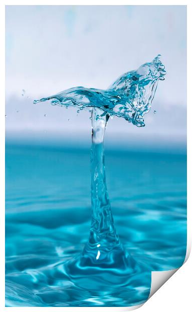 Water Drop Collision Flying High Print by Antonio Ribeiro