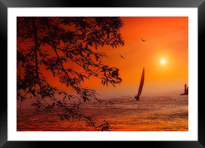SAILING TO PARADISE Framed Mounted Print by Tom York