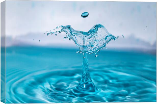 Water Drop Collision in Blue Canvas Print by Antonio Ribeiro