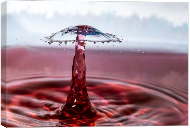 Water Drop and the Umbrella-like Splash Canvas Print by Antonio Ribeiro