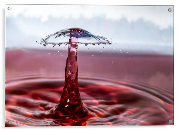 Water Drop and the Umbrella-like Splash Acrylic by Antonio Ribeiro