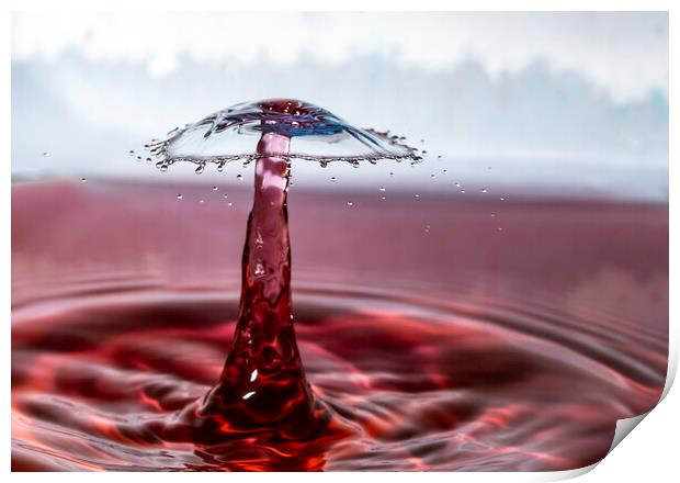 Water Drop and the Umbrella-like Splash Print by Antonio Ribeiro