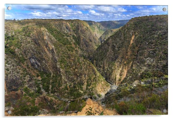 New England National Park – Wollomombi Gorge Acrylic by Antonio Ribeiro