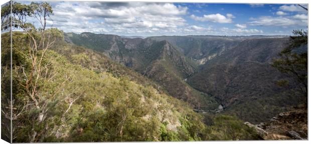 New England National Park – Wollomombi Gorge Canvas Print by Antonio Ribeiro