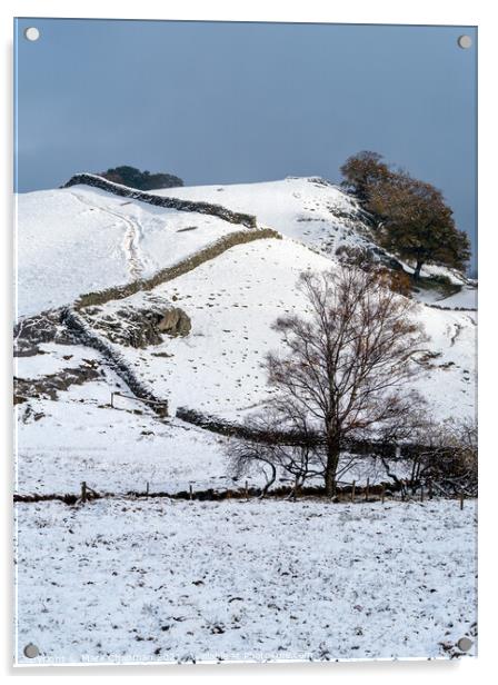 Little Langdale in Winter Acrylic by Photimageon UK