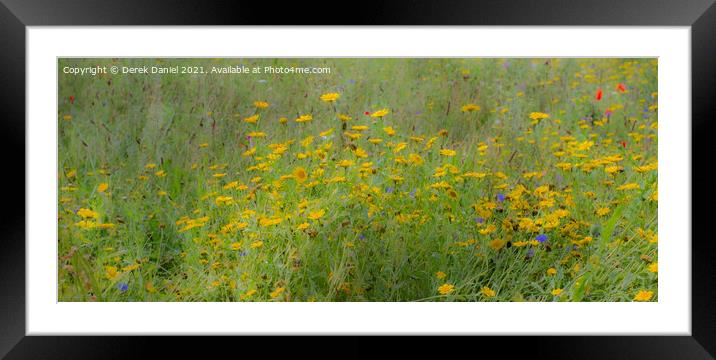 Dreamy Wildflowers (panoramic) Framed Mounted Print by Derek Daniel