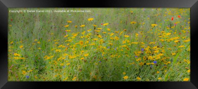 Dreamy Wildflowers (panoramic) Framed Print by Derek Daniel