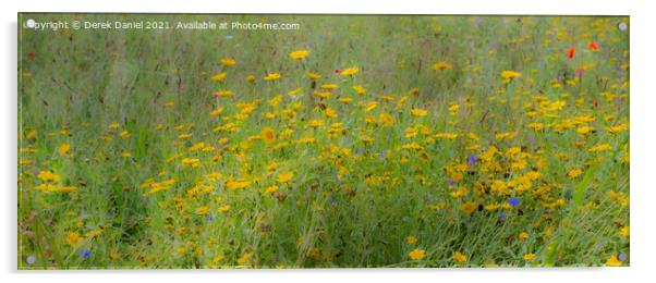 Dreamy Wildflowers (panoramic) Acrylic by Derek Daniel