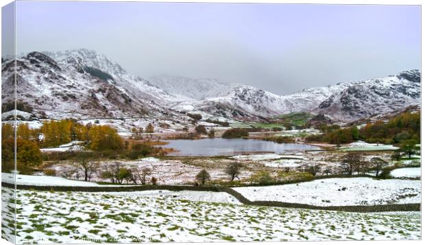 Little Langdale in Winter Canvas Print by Photimageon UK