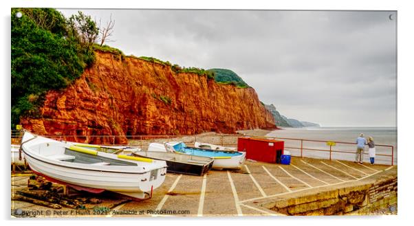Jurassic Coast Red Cliffs  Acrylic by Peter F Hunt