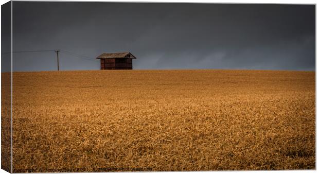 Golden Cereal Barn Canvas Print by Jeremy Sage