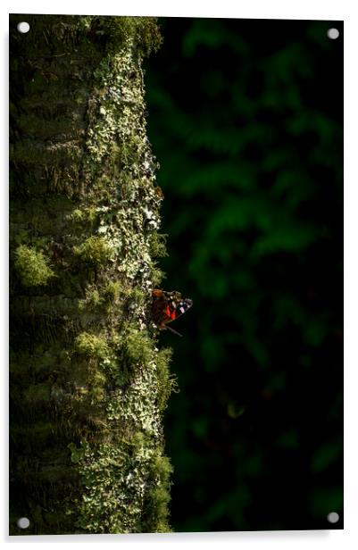Butterfly tree Acrylic by Gary Schulze
