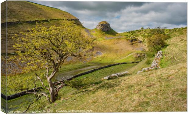 Cressbrook Dale in evening light Canvas Print by Chris Drabble