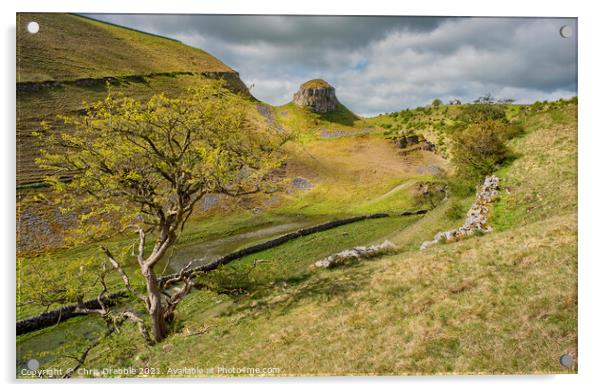 Cressbrook Dale in evening light Acrylic by Chris Drabble